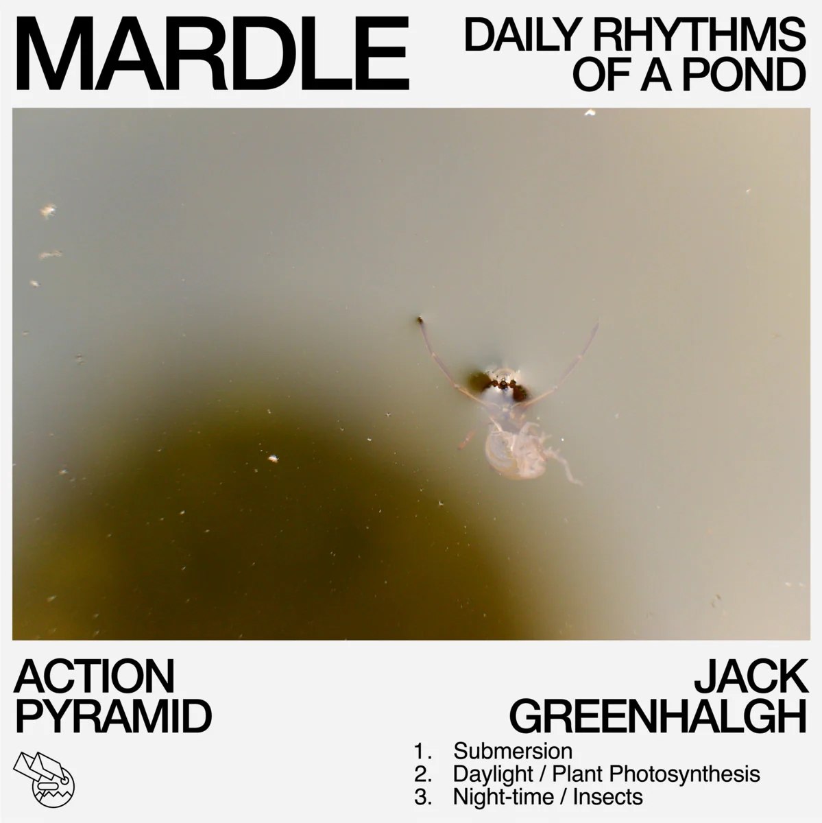 Mardle: Daily Rhythms of a Pond