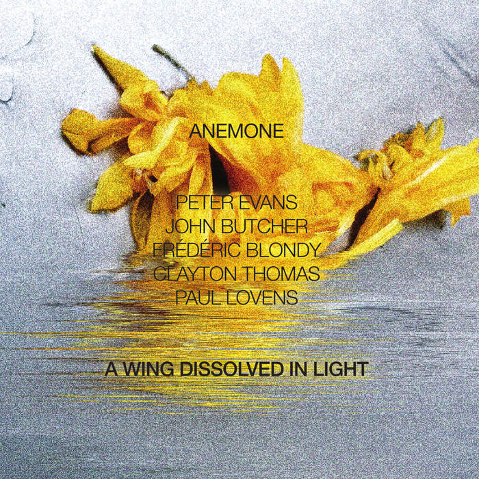 A Wing Dissolved in Light