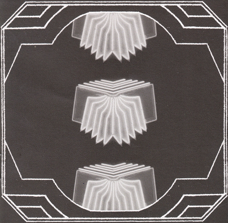 Neon Bible