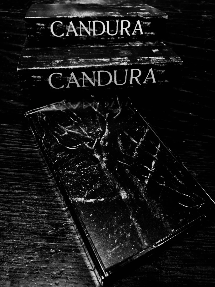 Candura