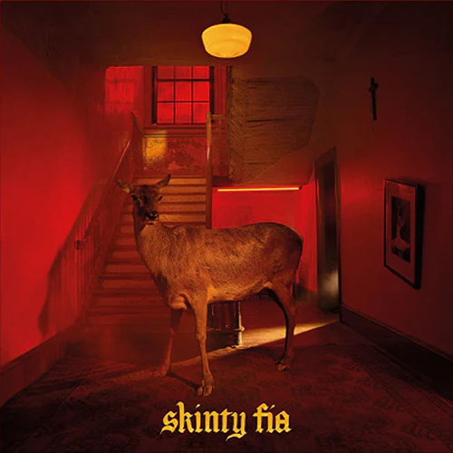 Skinty Fia