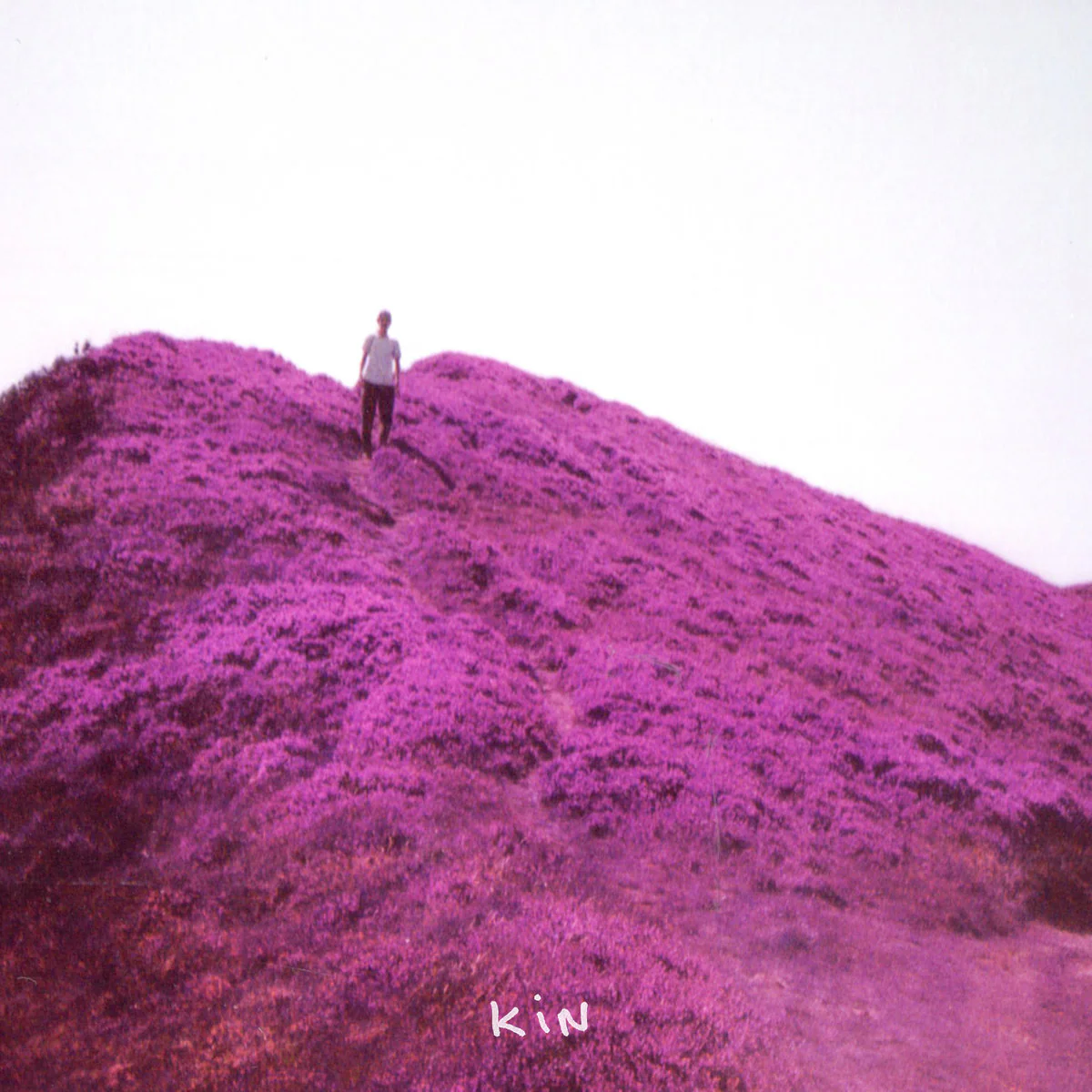 Kin