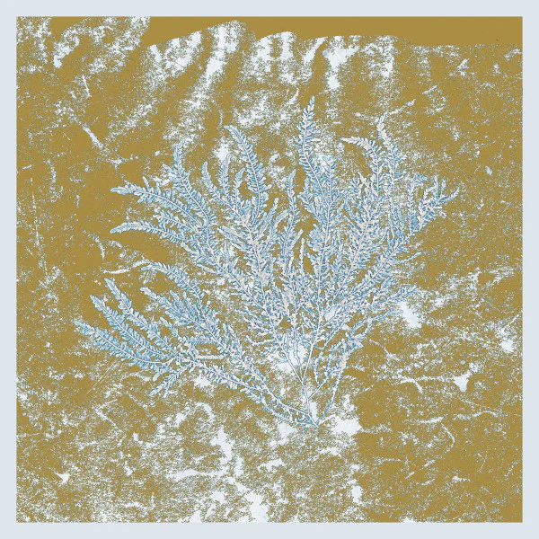 For Those Of You Who Have Never - 2025 repress