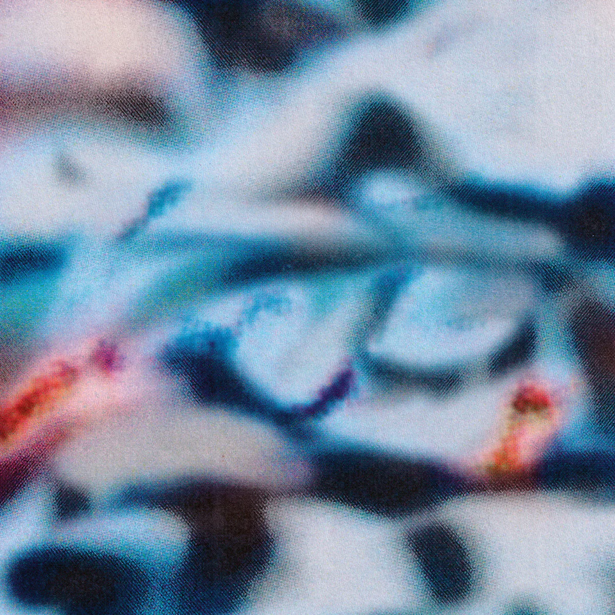 Temporal Blend