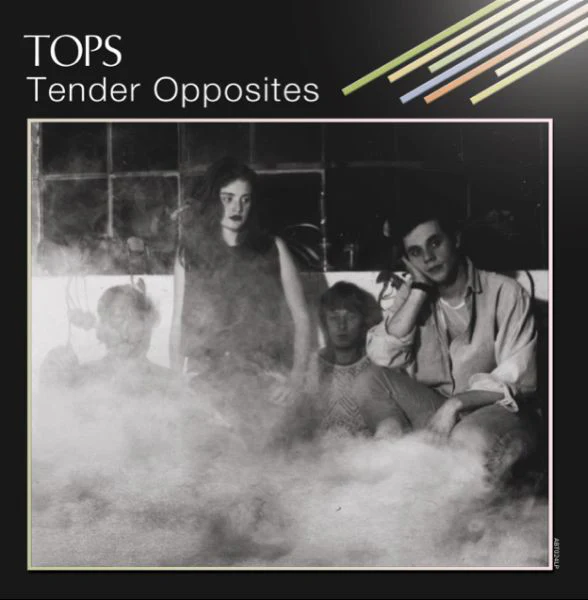 Tender Opposites